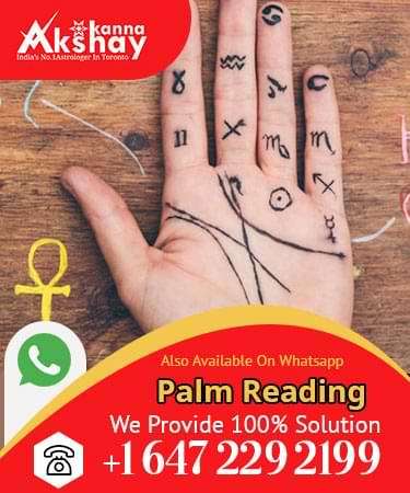 Palm Reading Service palm reading service